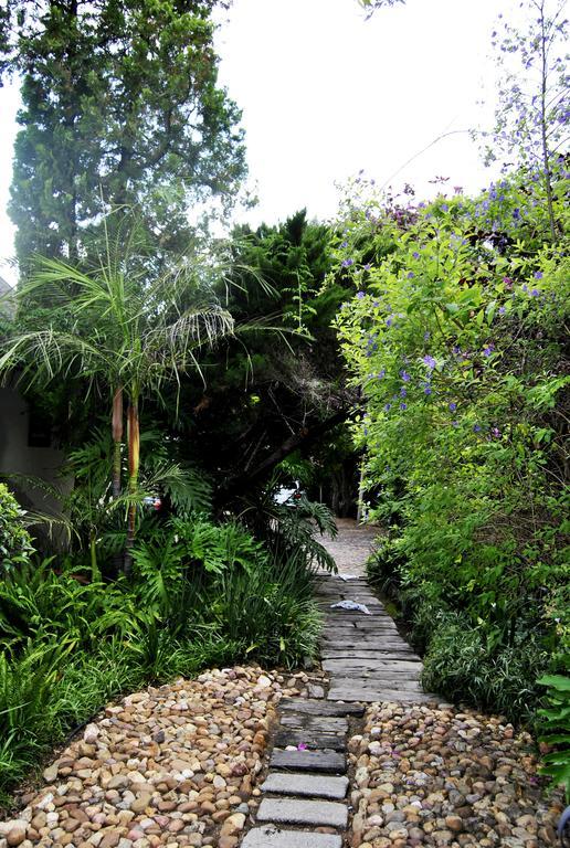Birch Tree Cottage Joanesburgo Exterior foto